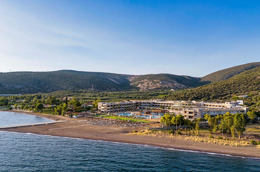 SEAFOS aerial coastal view