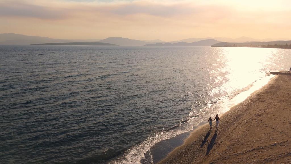 Nafplio coast at sunset